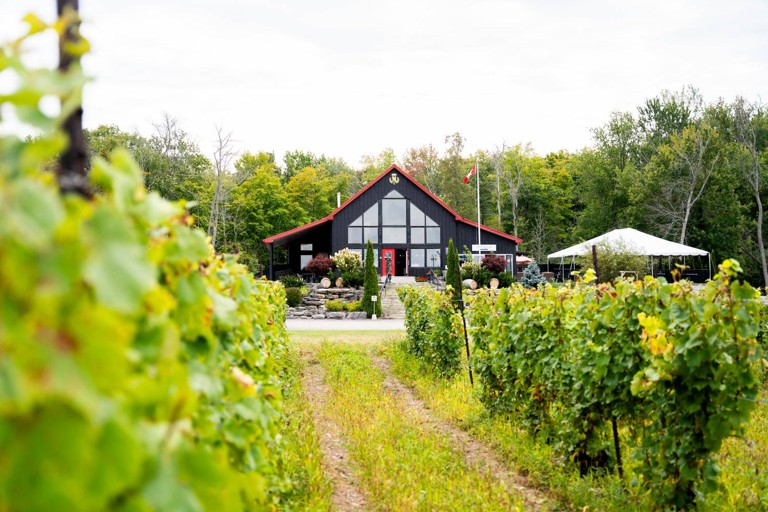 Farm-to-Table Revival Sweeps Through Prince Edward County