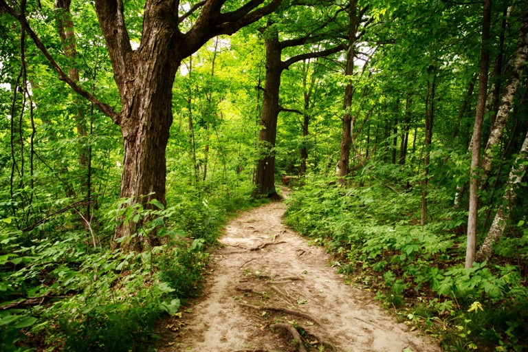 Hikers Celebrate the New Expansion of Bruce Trail Conservancy