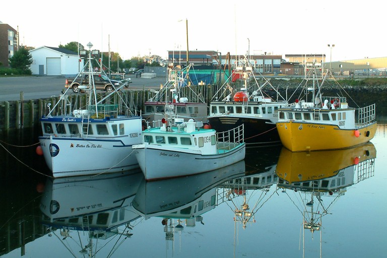 Coastal Catch: Nova Scotia Fishermen Introduce Ethical Lobster Practices